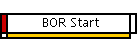 BOR Start